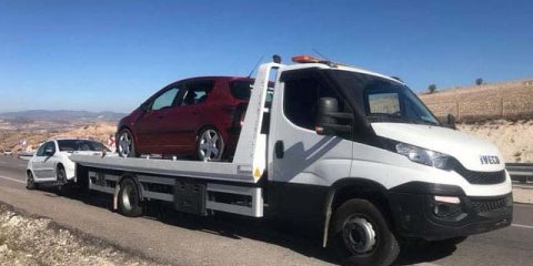 Baskil kiralık vinç