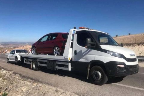 Baskil kiralık vinç