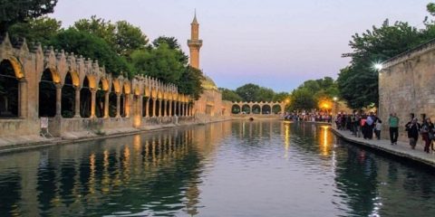 Şanlıurfa vinç kiralama